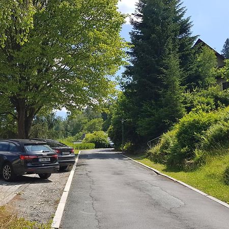 Villa Goldbrunnen Ferienwohnung 3 Bad Elster Exteriör bild