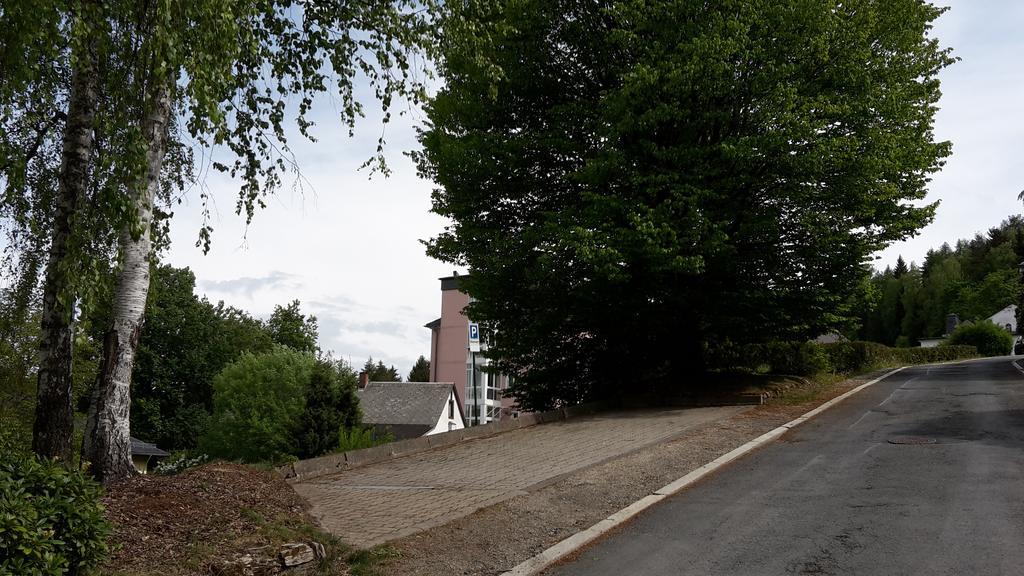 Villa Goldbrunnen Ferienwohnung 3 Bad Elster Exteriör bild